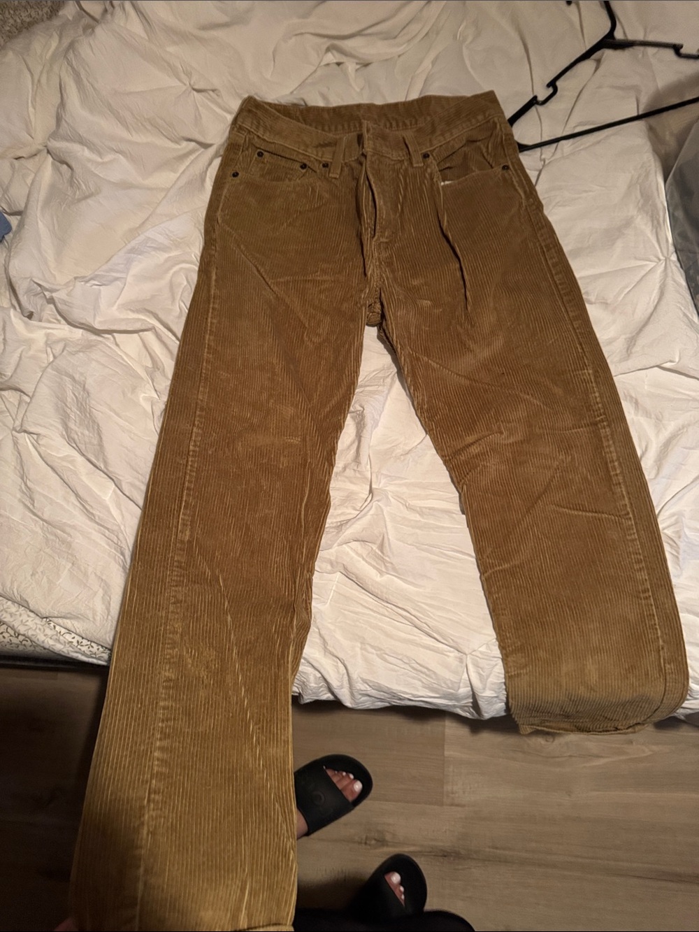 Levi's Wide Leg Corduroy Pants in Warm Brown